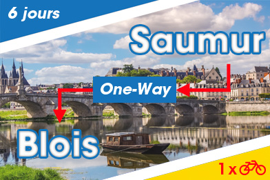Loire à vélo : 6 jours en vélo électrique de Saumur à Blois